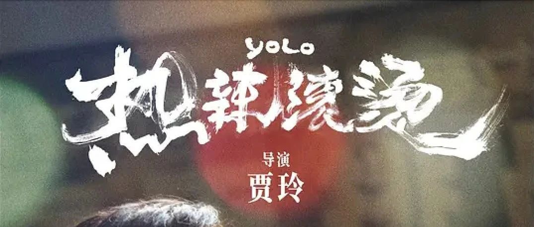 Cover Image for 转载｜贾玲的恨