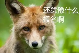 原文配图